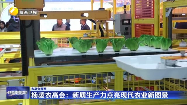 杨凌农高会观察:新质生产力点亮现代农业新图景