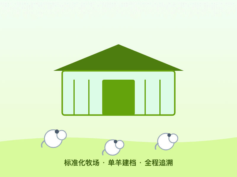 标准化牧场养殖实景